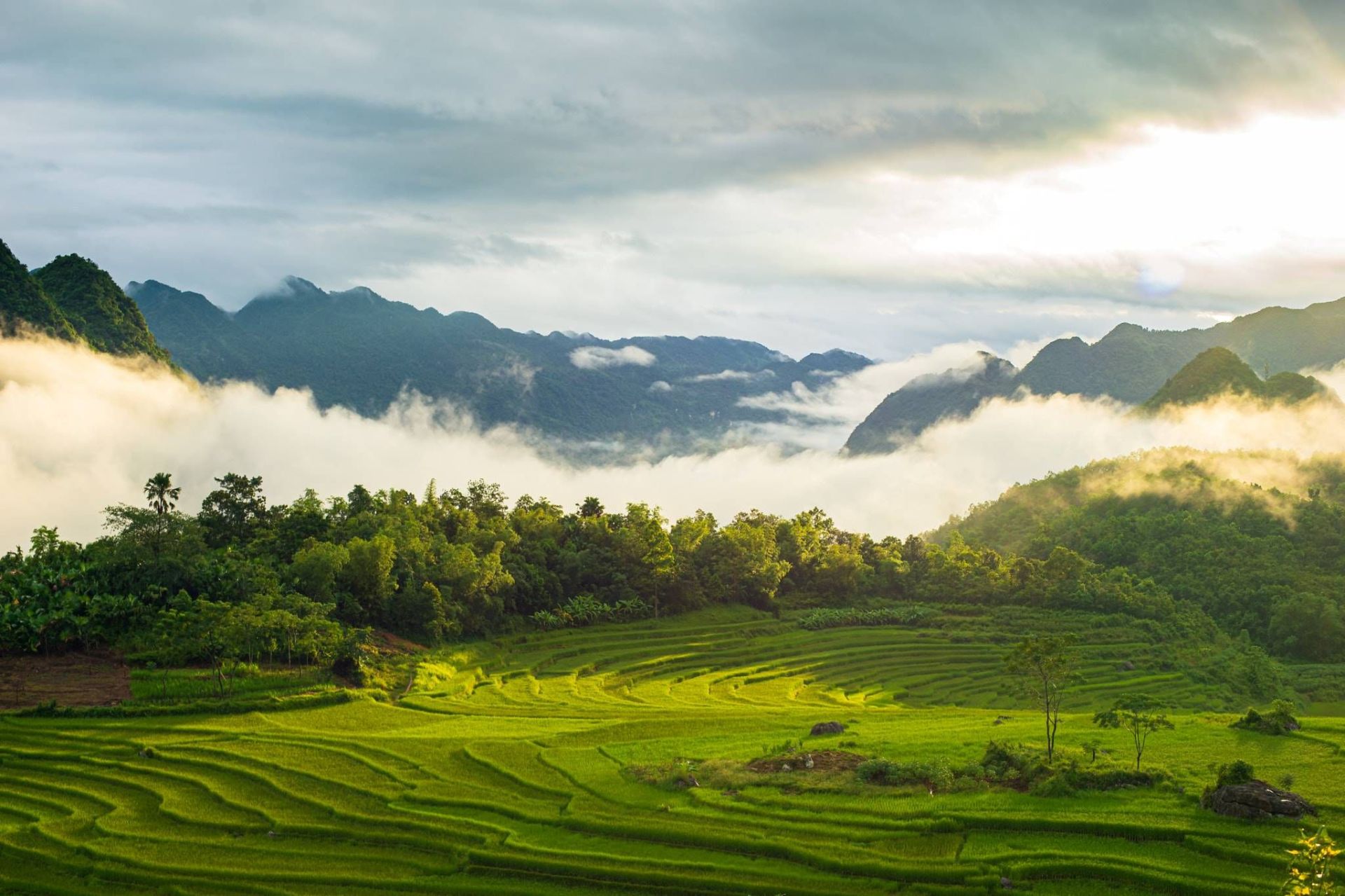 Pù Luông Is A Hidden Gem for Ecotourism in Vietnam